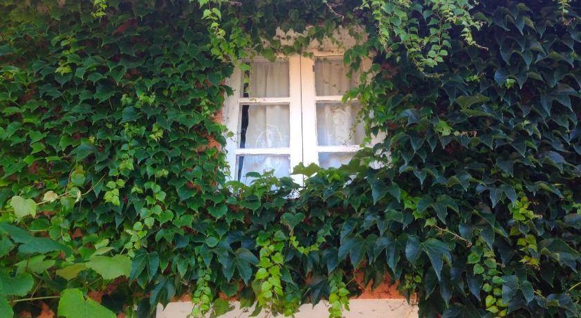 Souto Bed & Breakfast | 40 m² Bed and breakfast ∙ 3 guests