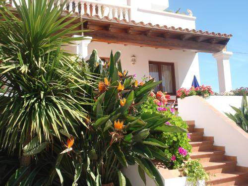 Es Figueral Beach Apartment | 45 m² Apartment ∙ 2 bedrooms ∙ 4 guests