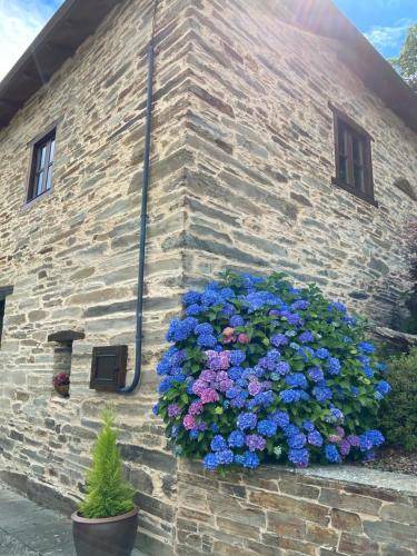 Samos House | 70 m² House ∙ 2 bedrooms ∙ 4 guests