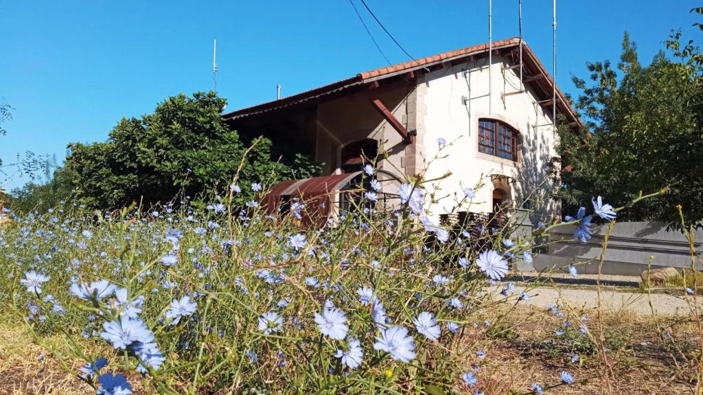 Hervas Hostel | Albergue & Cafetería Vía de la Plata Hervás