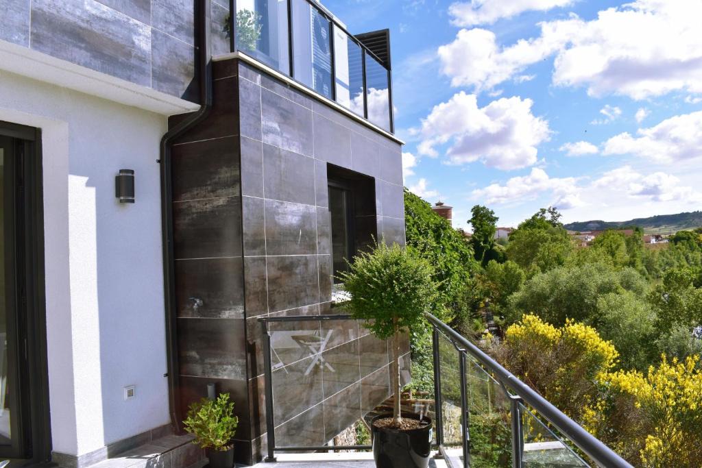 Pesquera de Duero Hostel | ALBERGUE HOSTING DUERO