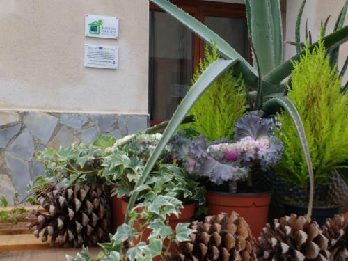 Fuentes de Magana Hostel | Albergue Turístico Tierras Altas