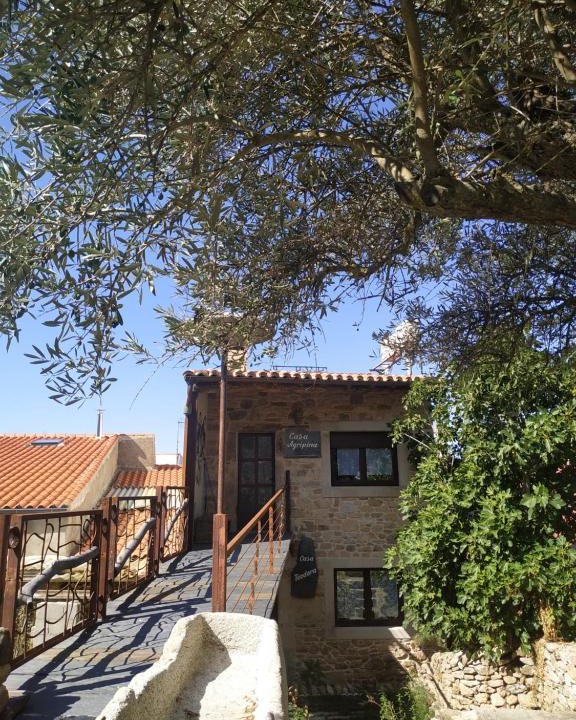 Aldeadavila de la Ribera House | Apartamento La Agripina