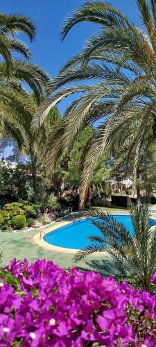 Pedreguer Apartment | Apartamento Buganvilla Pool