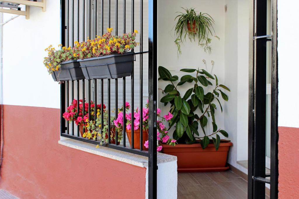 Los Pinos Apartment | Apartamento turístico la Vera