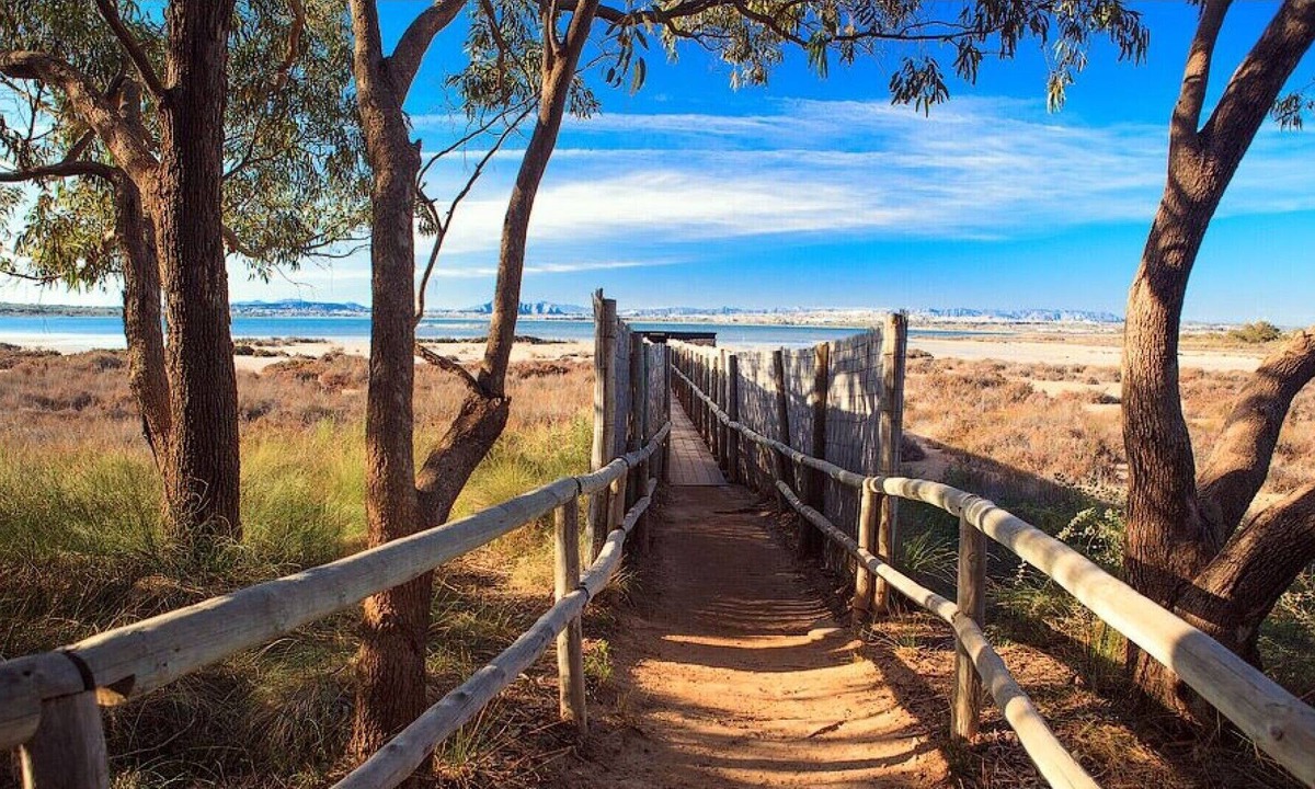 Guardamar del Segura Apartment | Apartment in La Mata, balcony Lake view, 200m from the beach