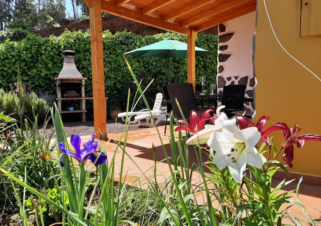 Moya House | Barrancolaurel