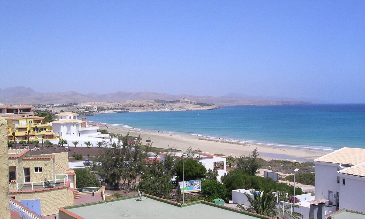 Bahia Calma Apartment | Beachfront studio apartment