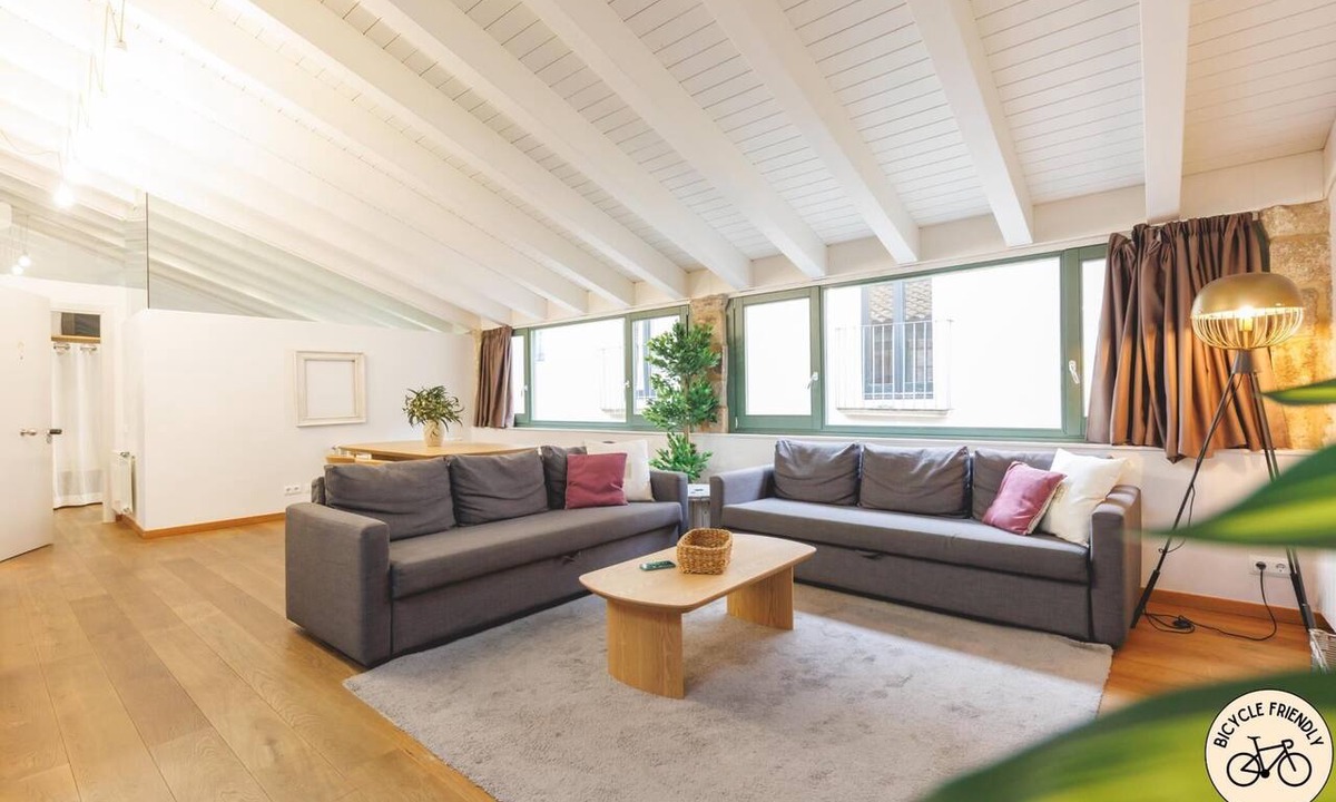 Barri Vell Apartment | Bravissimo Força 17 Llum, Penthouse Apartment with two bedrooms