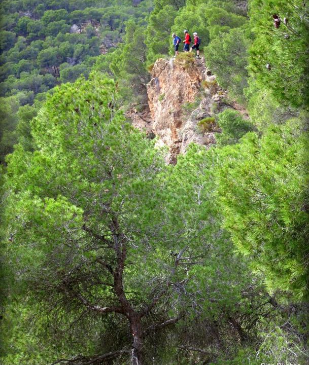 El Berro Other | Camping Sierra Espuña