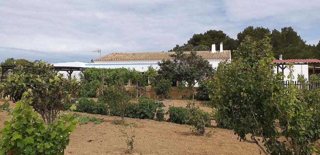 Pilar de la Mola House | Can Joan Barber, 1