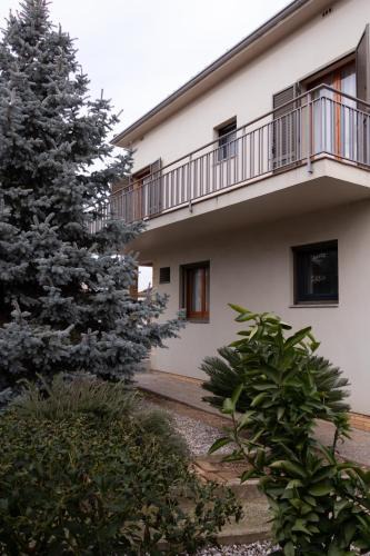 Banyoles House | Can Patllari