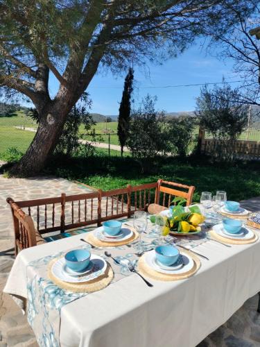 Santa Elena House | Casa Celia
