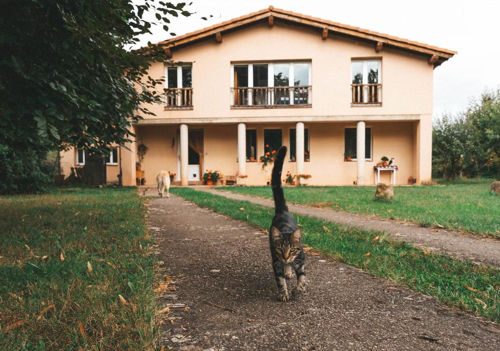 Estollo House | Casa de Campo La Solana