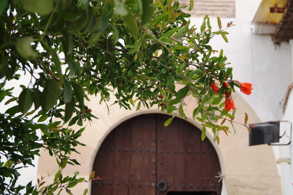 Moclin House | Casa de la Placeta del Rincón