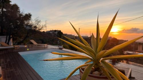 Granadilla de Abona Villa | Casa Jio