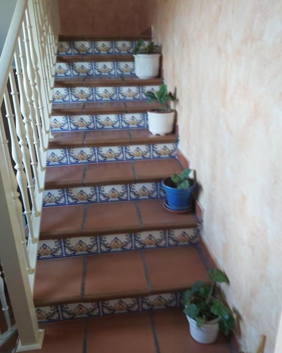 Hinojedo House | Casa laurel 1