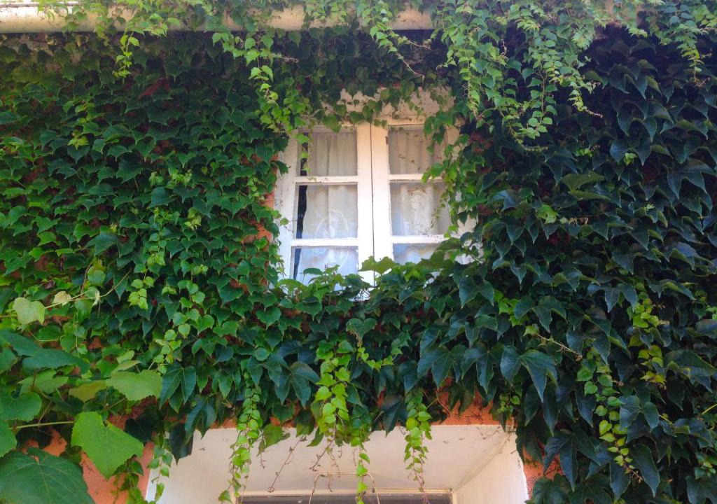 Souto Hotel | Casa Lourido