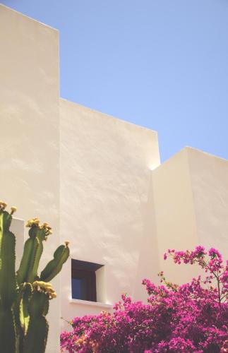 Rodalquilar House | Casa Marlene