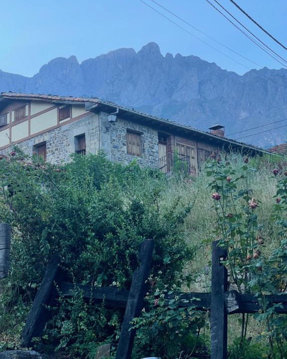 Lon House | CASA MODESTO