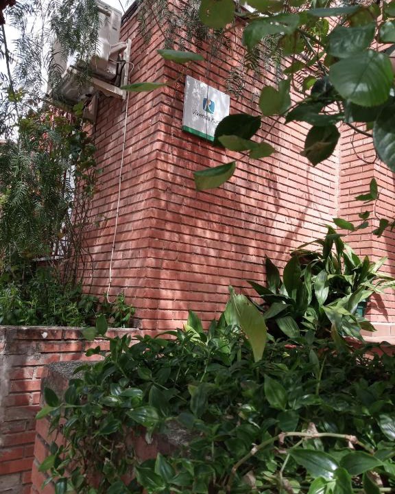 Siles House | Casa Pinos