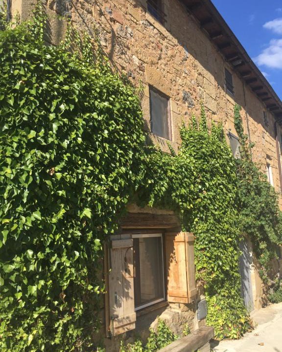 Lacar House | Casa Rural Babesenea Urederra