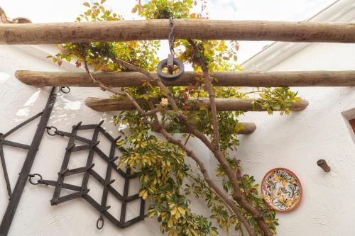Carcabuey House | Casa Rural El Membrillo