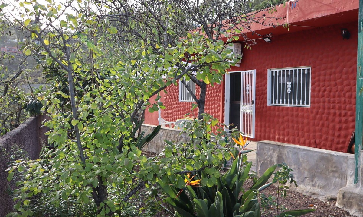 Vega de San Mateo Cottage | Casa Rural en San Mateo, con Finca Propia