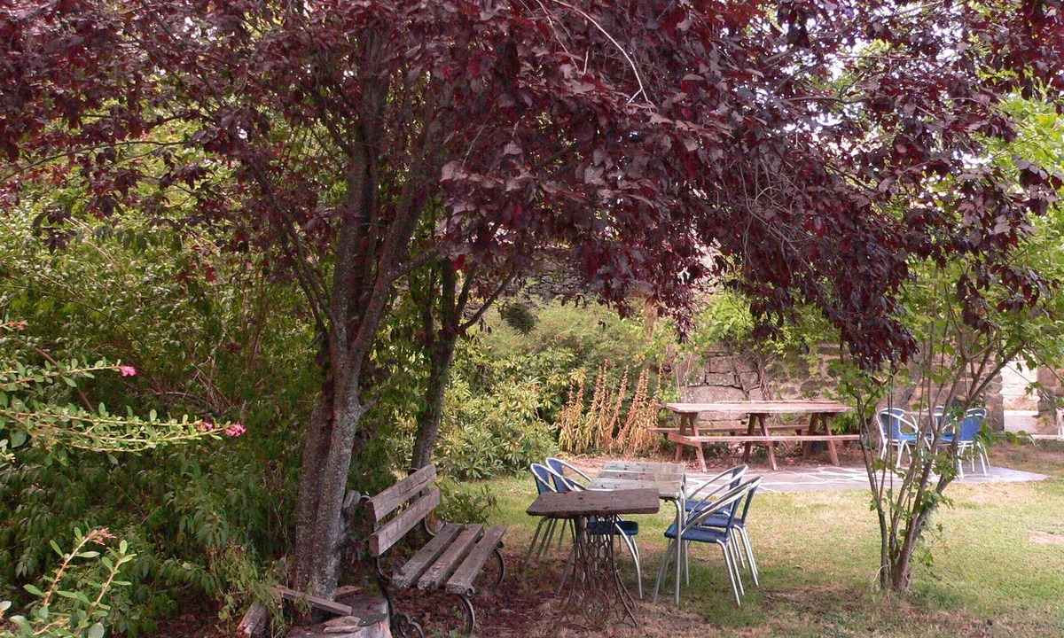Avedillo de Sanabria House | CASA RURAL 5 * THE SEDA WORKSHOP
