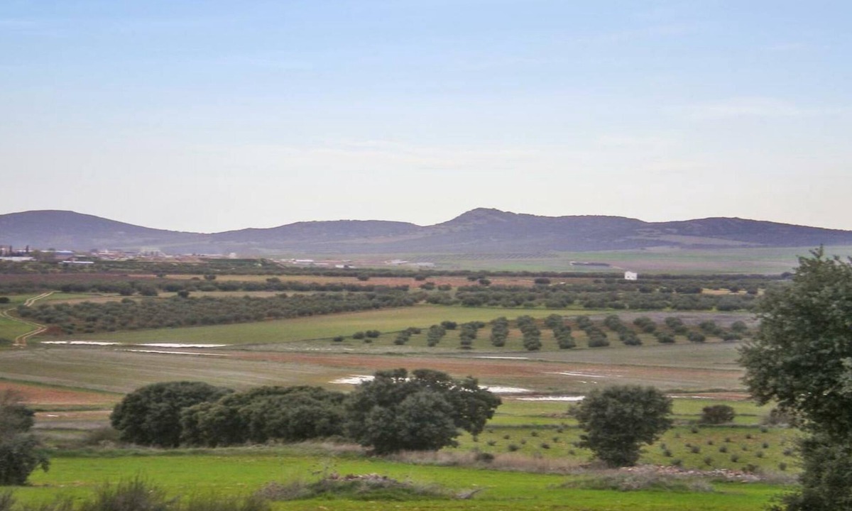 Castellar de Santiago House | Casa Rural Alonso Quijano El Bueno