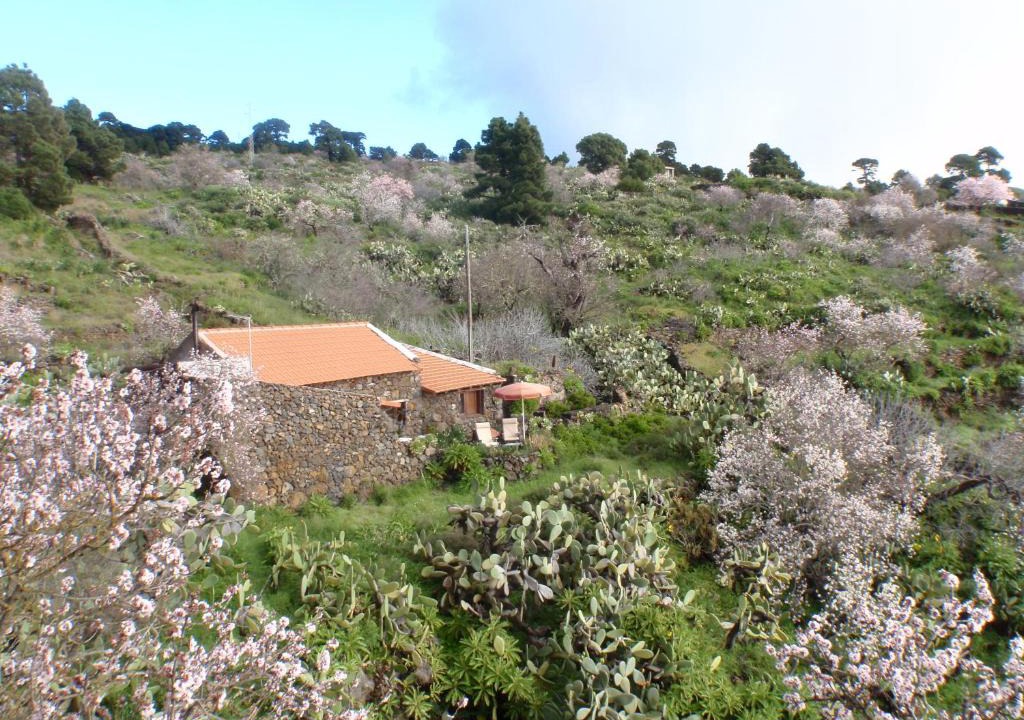 Las Casas House | Casa rural La Jarita