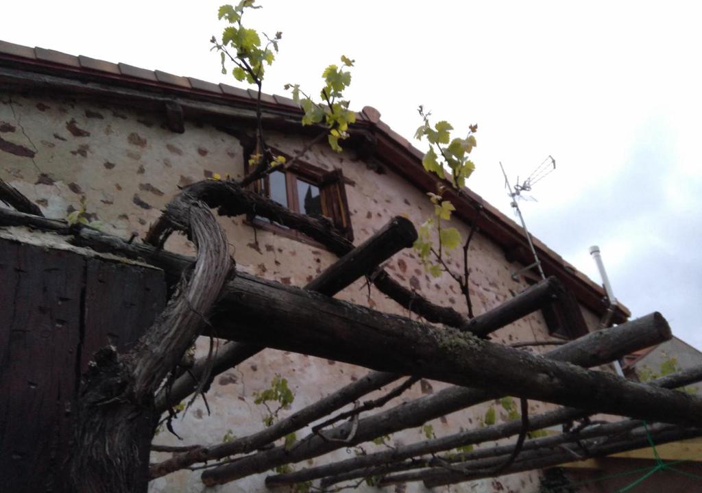 El Rasillo de Cameros House | Casa Rural Marem