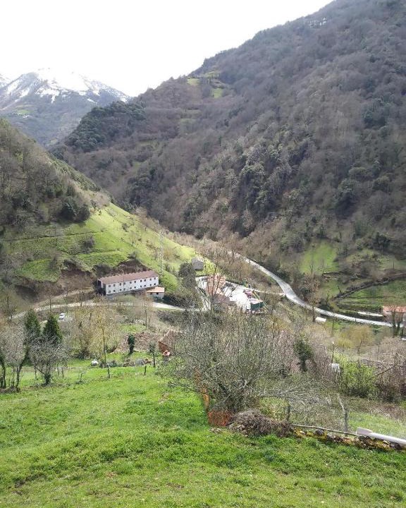 Somiedo Municipality House | Casa Rural OSO 1