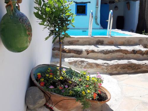 San Jorge House | Casa Rural tía Salomé