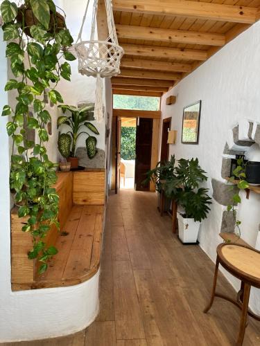 Agaete House | Casas cuevas, Los Cabucos
