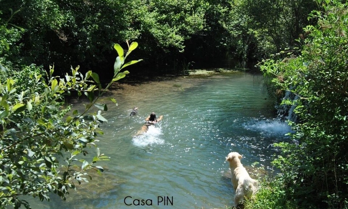 Reocin de los Molinos Cottage | Casas Pin for 12 people