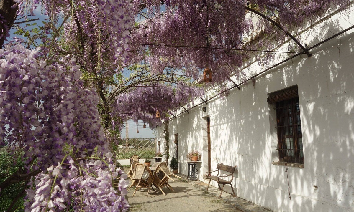 Tozar Cottage | Charming rural house with swimming pool 3 km from the city of Granada. parking