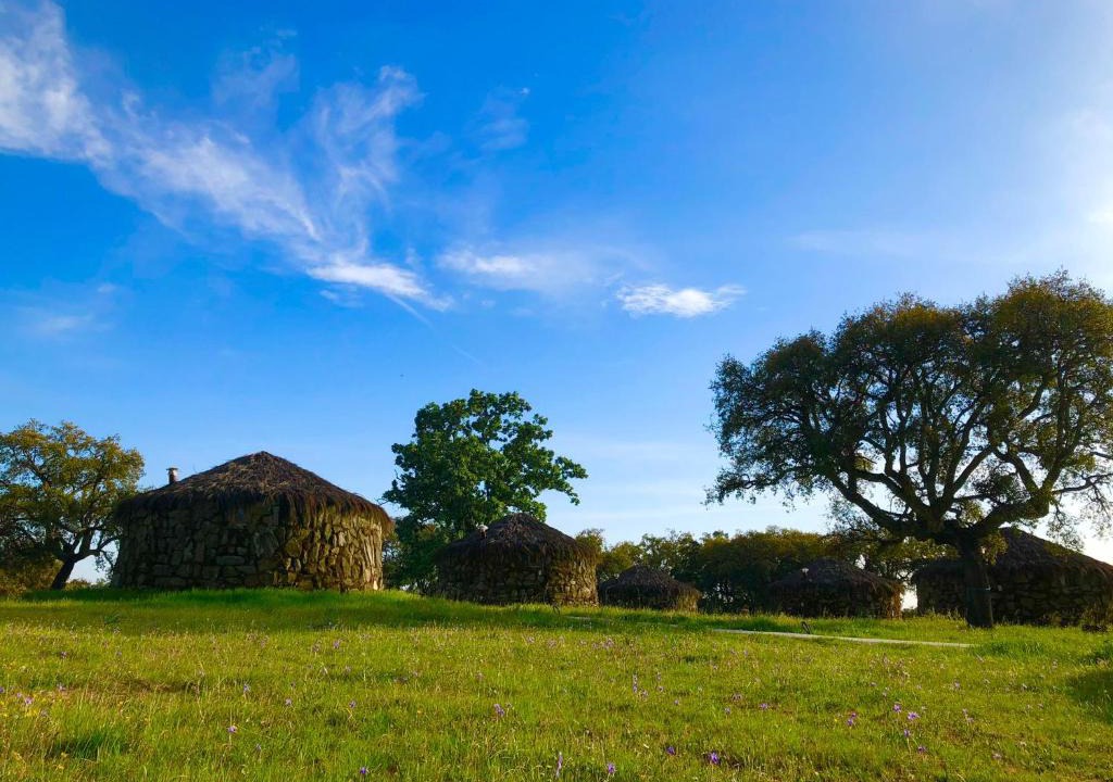 Calzadilla Cabin | Chozos Las Flores de la Dehesa