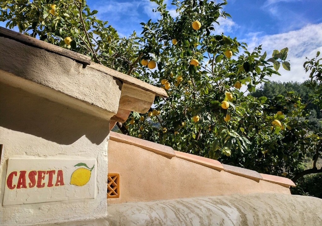 Estellencs Apartment | Cozy accommodation with garden in the quiet village of Estellencs