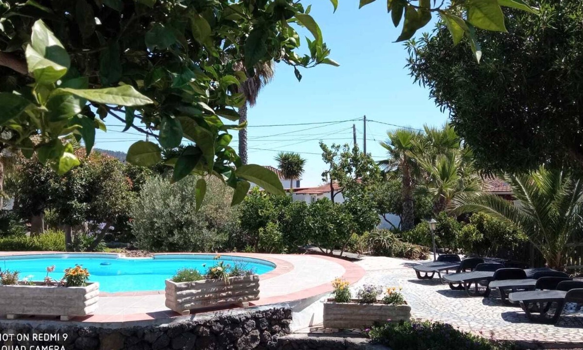 El Paso Apartment | Cozy apartment with patio in the subtropical garden with pool
