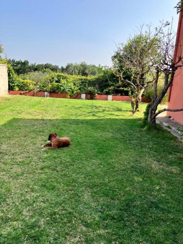 Sant Miquel de Fluvia House | Descanso del GUERRERO
