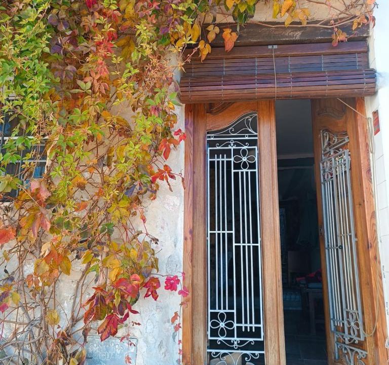 Mogente/Moixent House | El Bosquet 1897