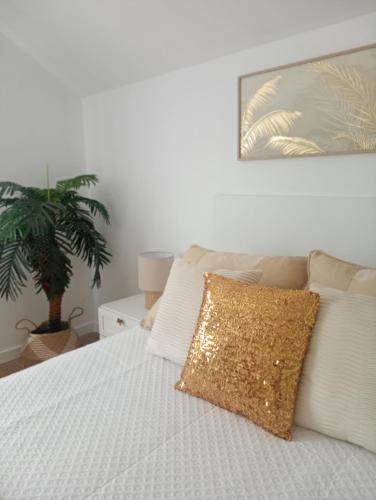 Padron Apartment | El Naranjo