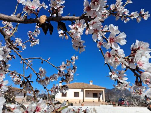 Benablon House | El Refugio de Hugo