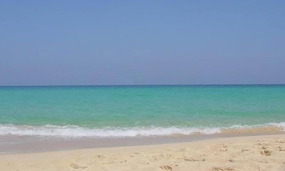 Bahia Calma Apartment | Stunning and modern holiday rental with sea view