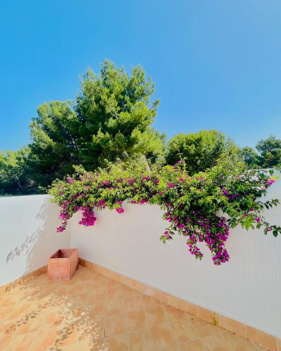 Sant Josep de sa Talaia House | Estilo ibicenco en todo