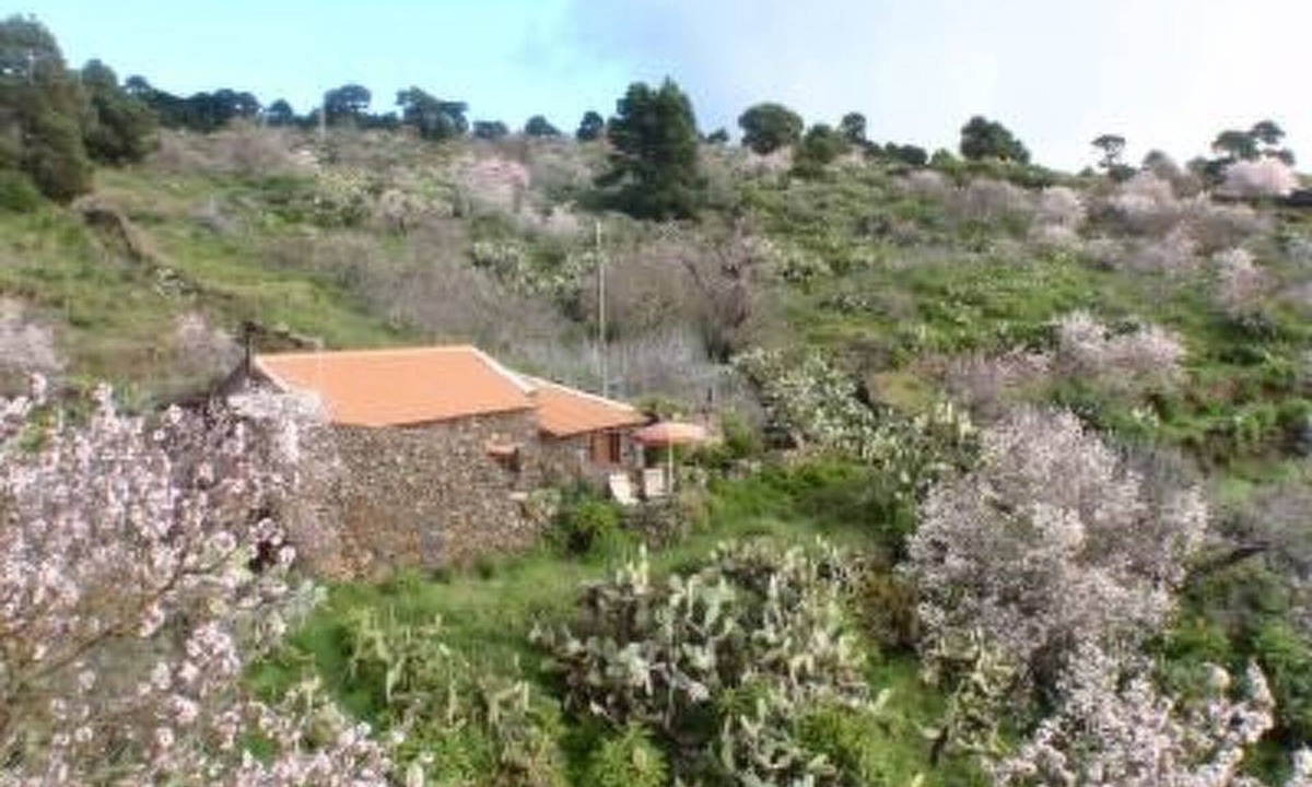 Las Casas House | für 3 Personen + 2 Kinder ca. 60 m² in El Pinar, El Hierro by Interhome