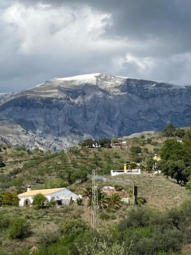 Sedella House | Ferienhaus Casa Piedra