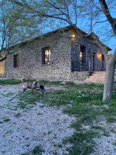 La Solana House | FINCA EL CERRO