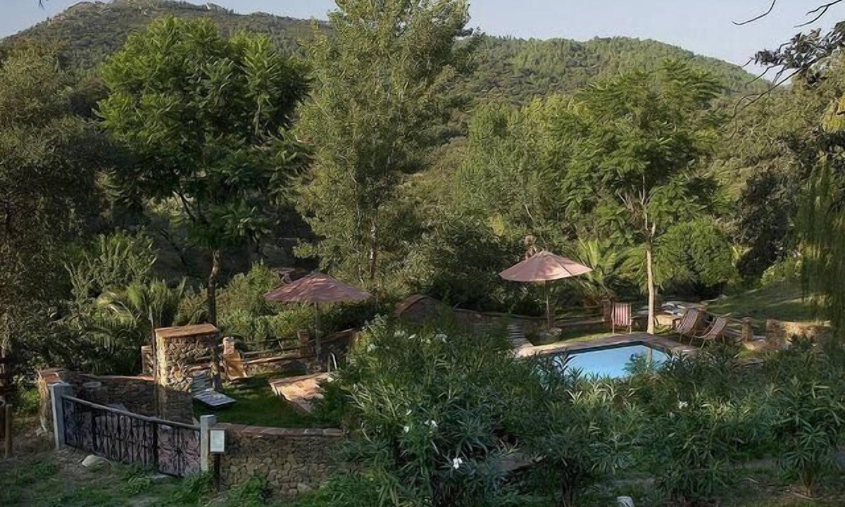 Alajar Other | Finca "La Tortuga" with mountain view